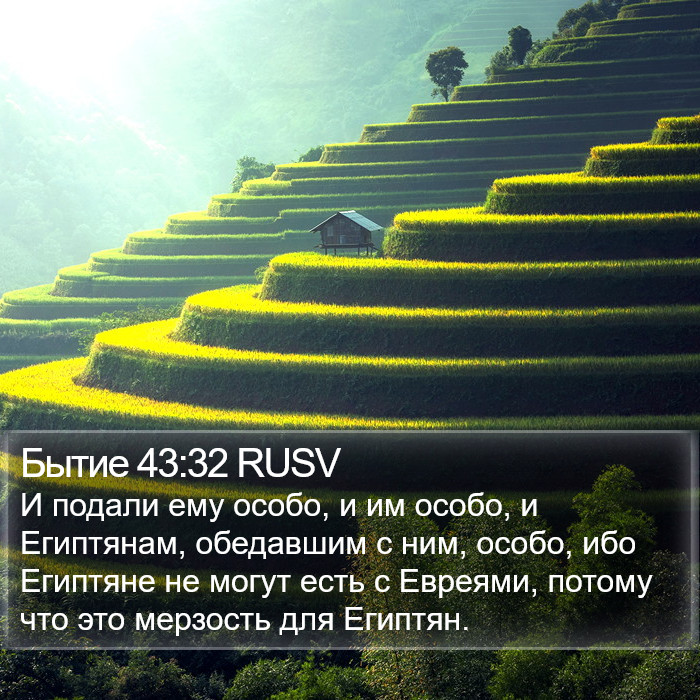 Бытие 43:32 RUSV Bible Study