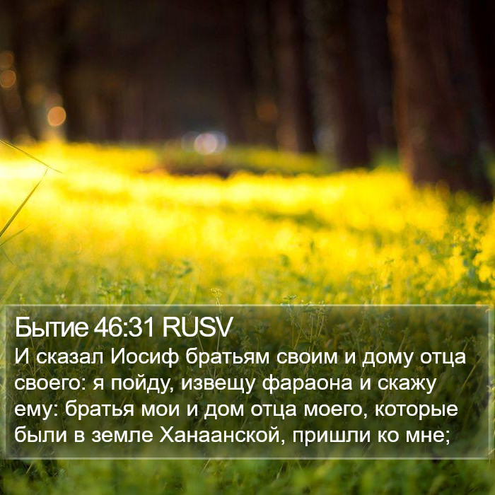 Бытие 46:31 RUSV Bible Study
