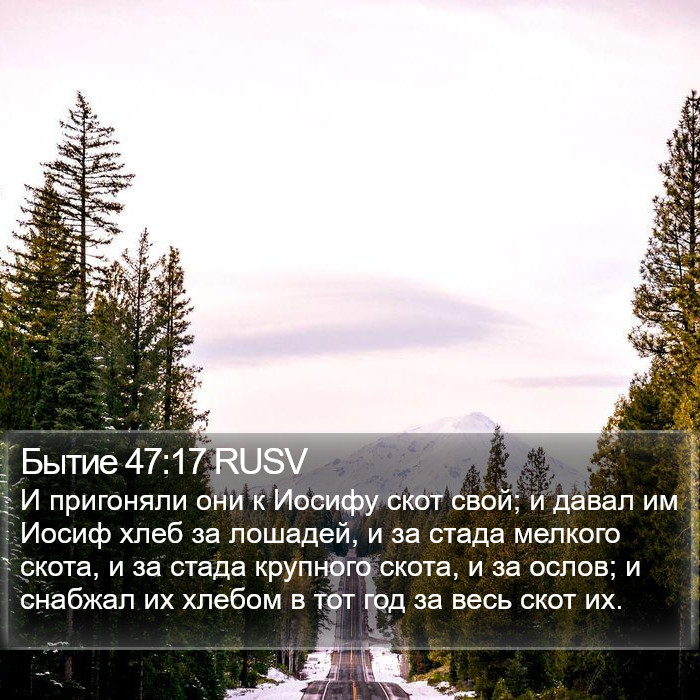 Бытие 47:17 RUSV Bible Study
