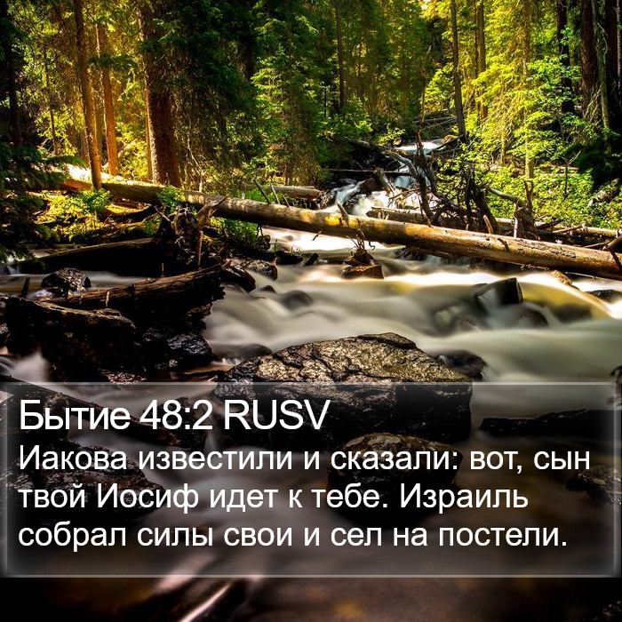 Бытие 48:2 RUSV Bible Study