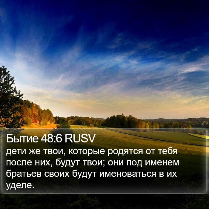 Бытие 48:6 RUSV Bible Study