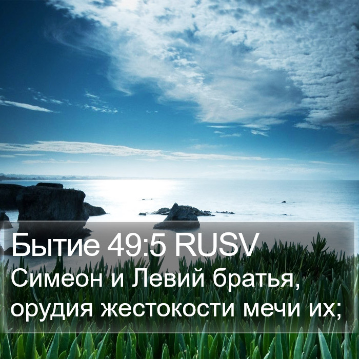 Бытие 49:5 RUSV Bible Study