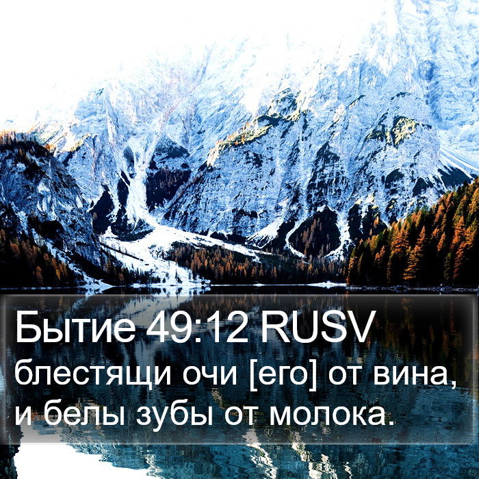 Бытие 49:12 RUSV Bible Study