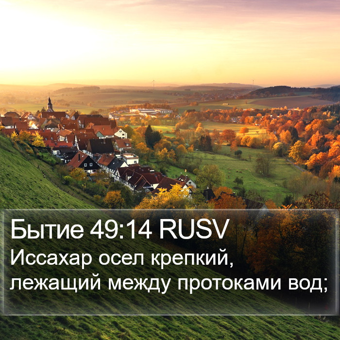 Бытие 49:14 RUSV Bible Study