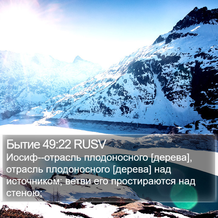 Бытие 49:22 RUSV Bible Study