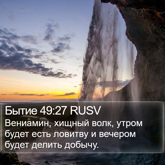 Бытие 49:27 RUSV Bible Study