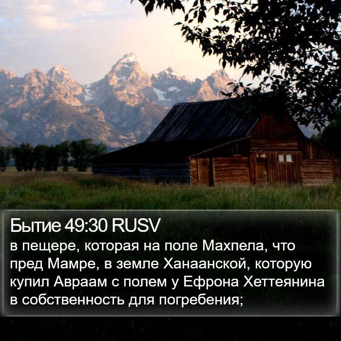 Бытие 49:30 RUSV Bible Study