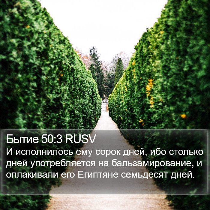 Бытие 50:3 RUSV Bible Study