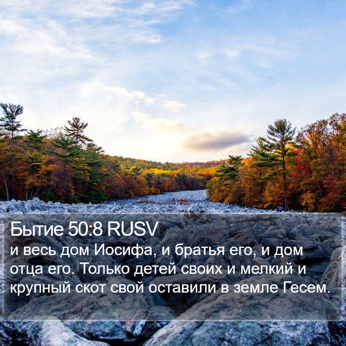 Бытие 50:8 RUSV Bible Study