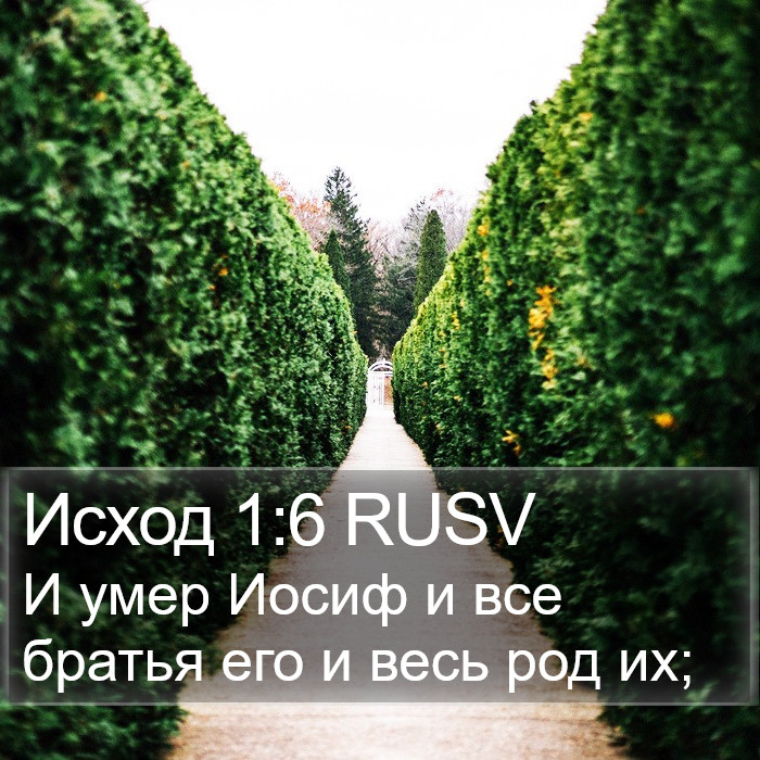 Исход 1:6 RUSV Bible Study