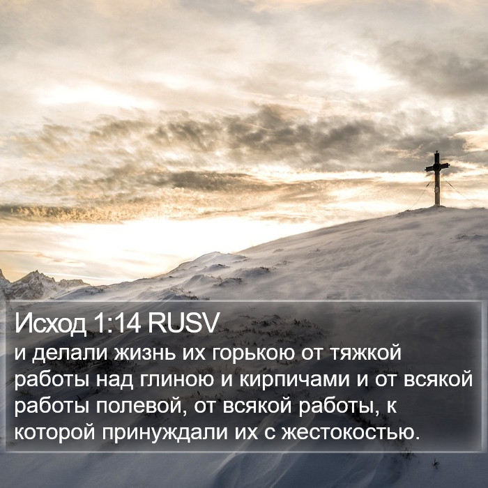 Исход 1:14 RUSV Bible Study