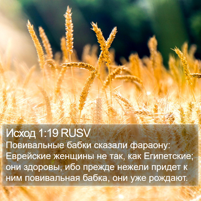 Исход 1:19 RUSV Bible Study