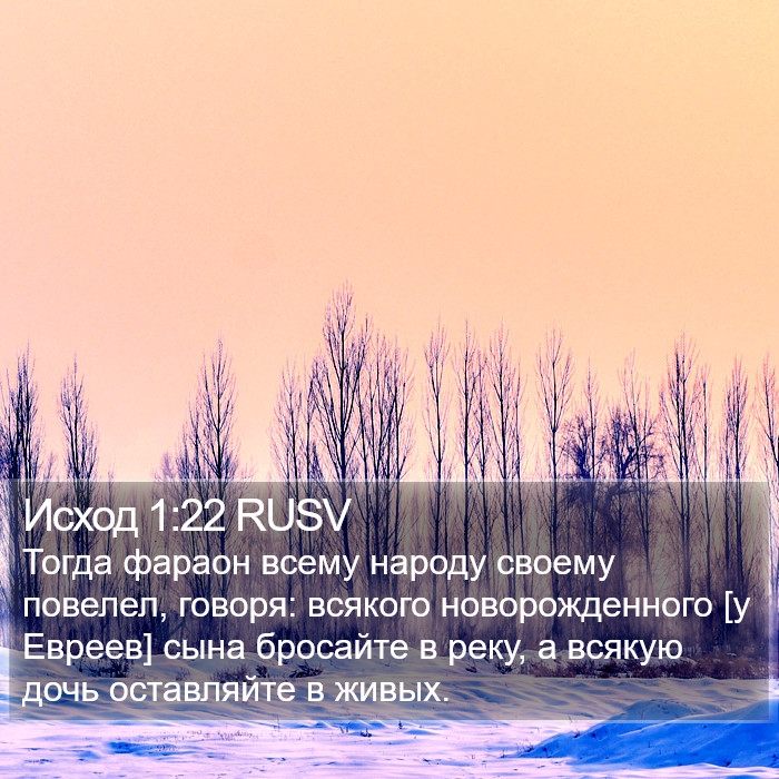 Исход 1:22 RUSV Bible Study