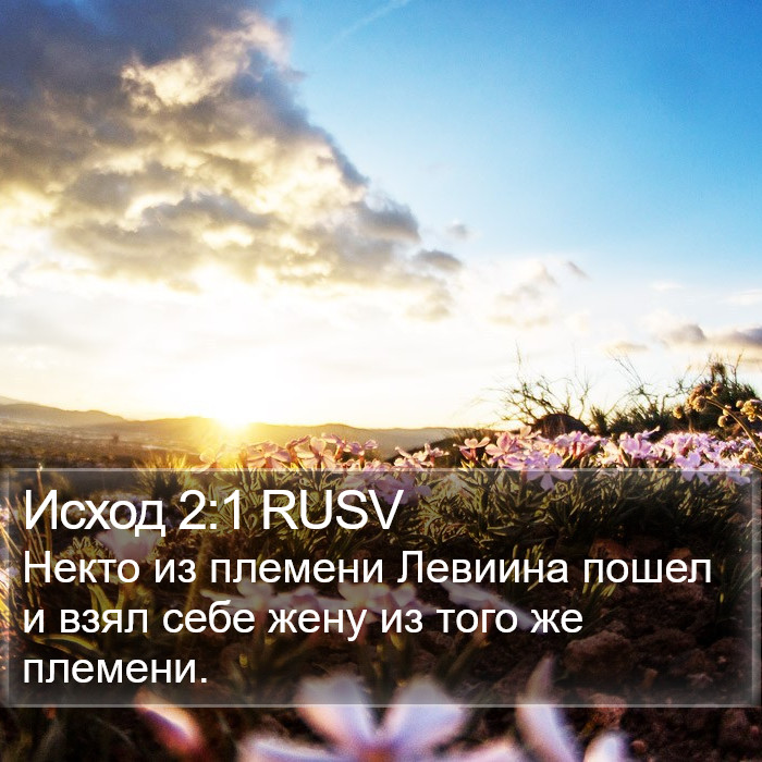 Исход 2:1 RUSV Bible Study