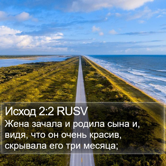 Исход 2:2 RUSV Bible Study