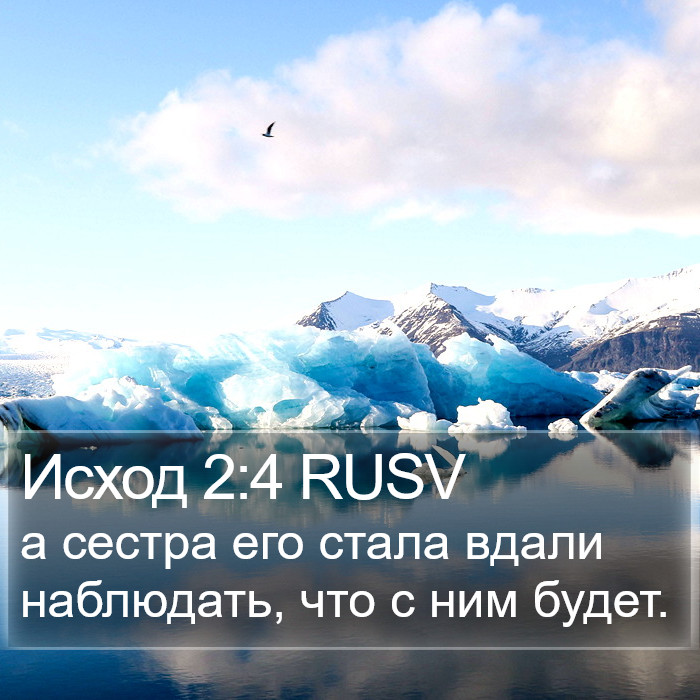 Исход 2:4 RUSV Bible Study