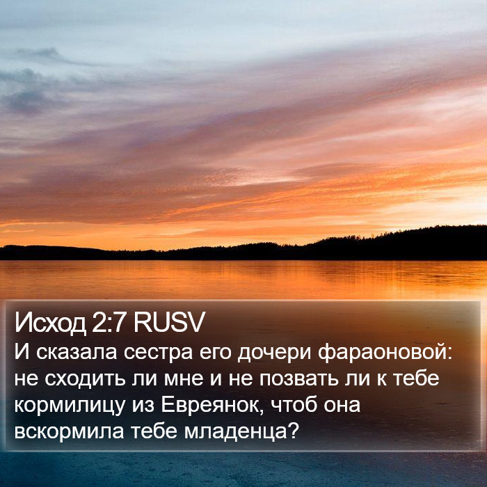 Исход 2:7 RUSV Bible Study