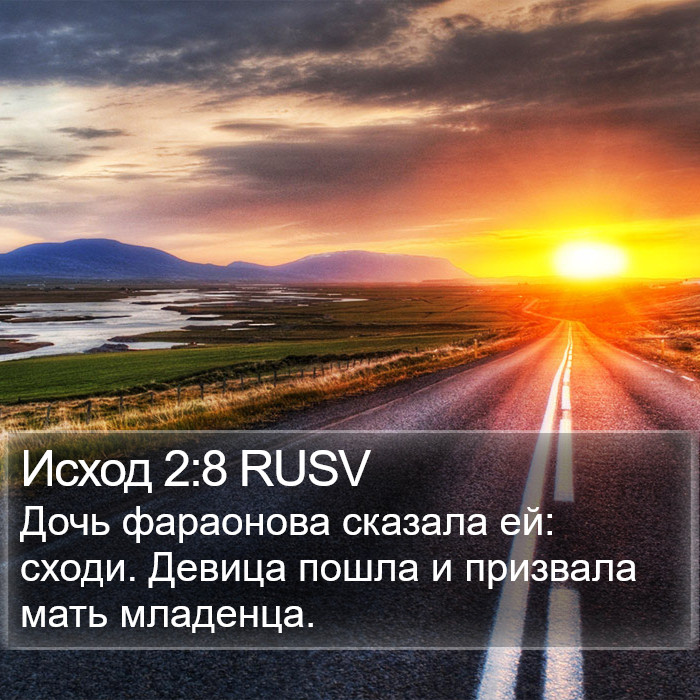 Исход 2:8 RUSV Bible Study