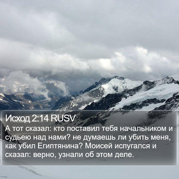 Исход 2:14 RUSV Bible Study