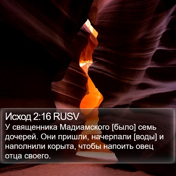 Исход 2:16 RUSV Bible Study