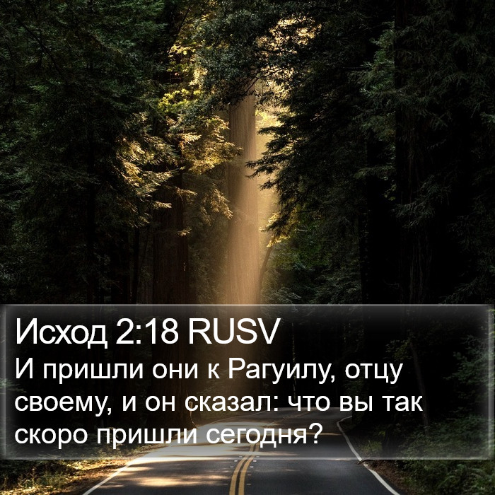 Исход 2:18 RUSV Bible Study