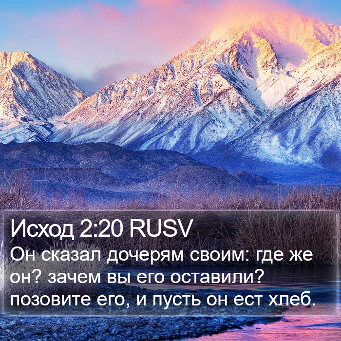 Исход 2:20 RUSV Bible Study