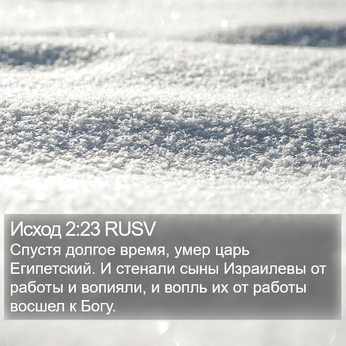 Исход 2:23 RUSV Bible Study