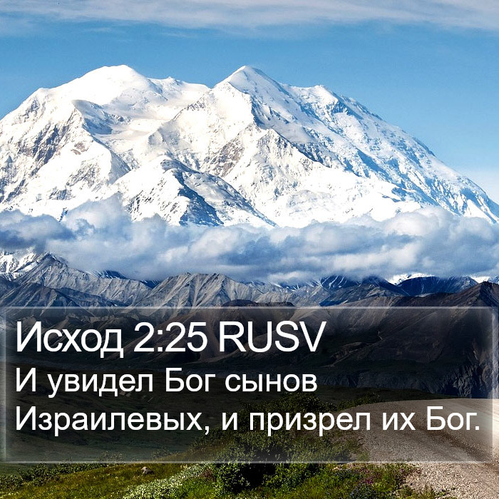 Исход 2:25 RUSV Bible Study