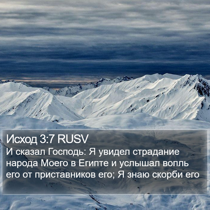 Исход 3:7 RUSV Bible Study