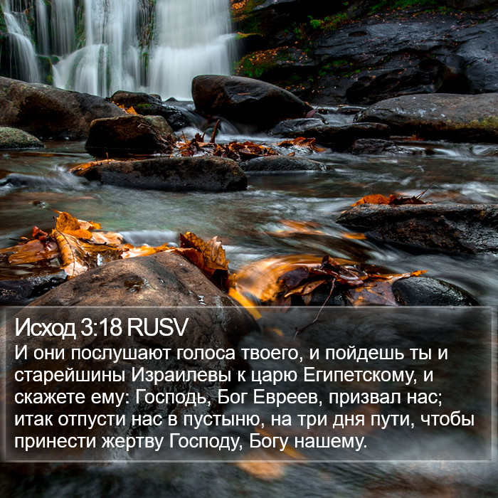 Исход 3:18 RUSV Bible Study