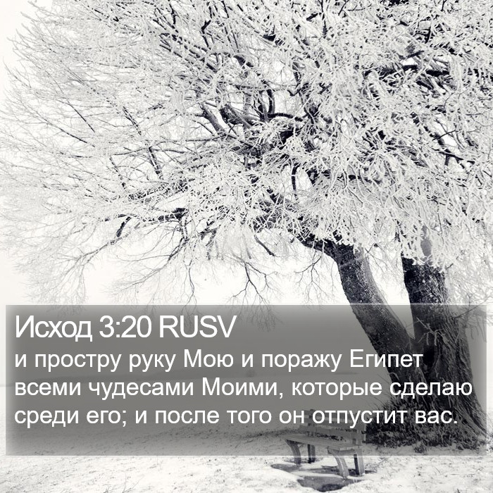 Исход 3:20 RUSV Bible Study