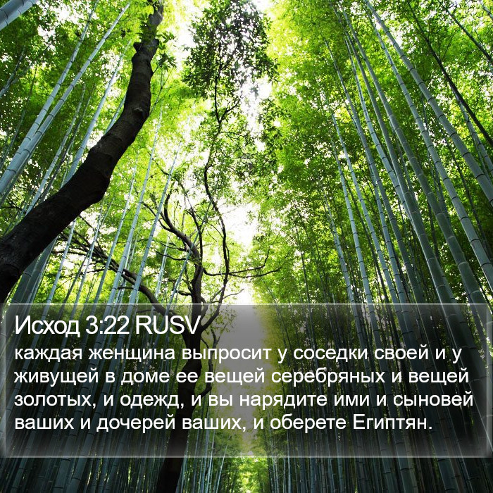 Исход 3:22 RUSV Bible Study