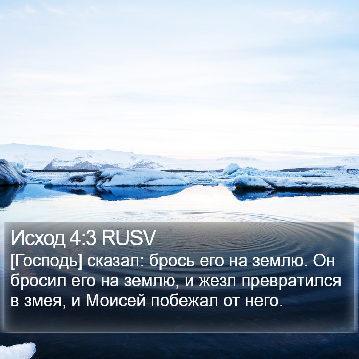 Исход 4:3 RUSV Bible Study