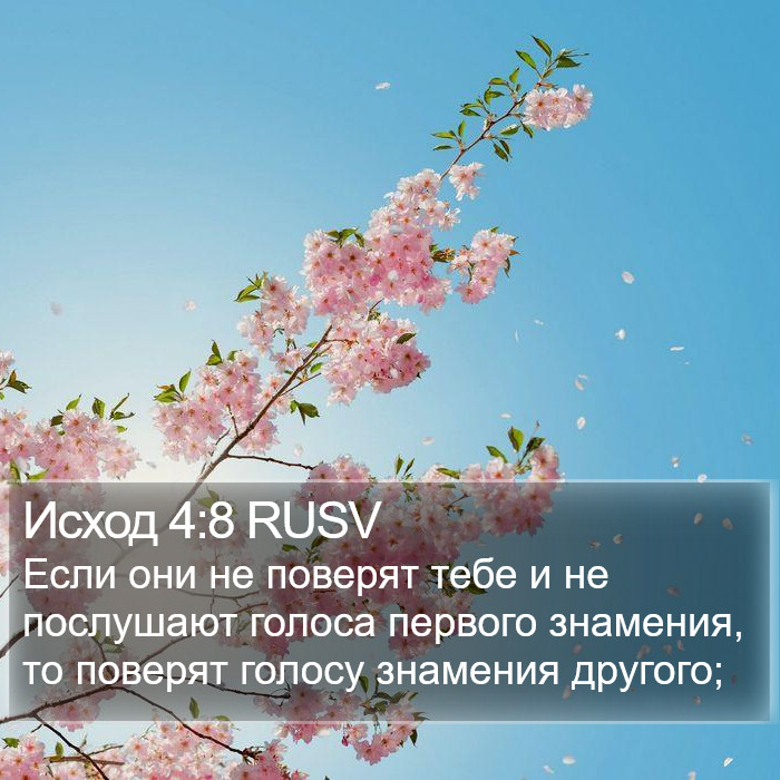 Исход 4:8 RUSV Bible Study