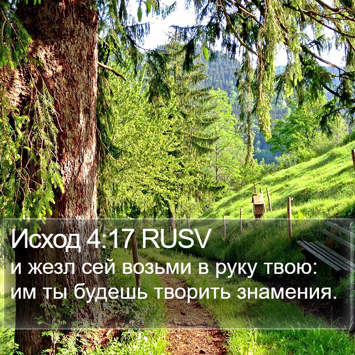 Исход 4:17 RUSV Bible Study