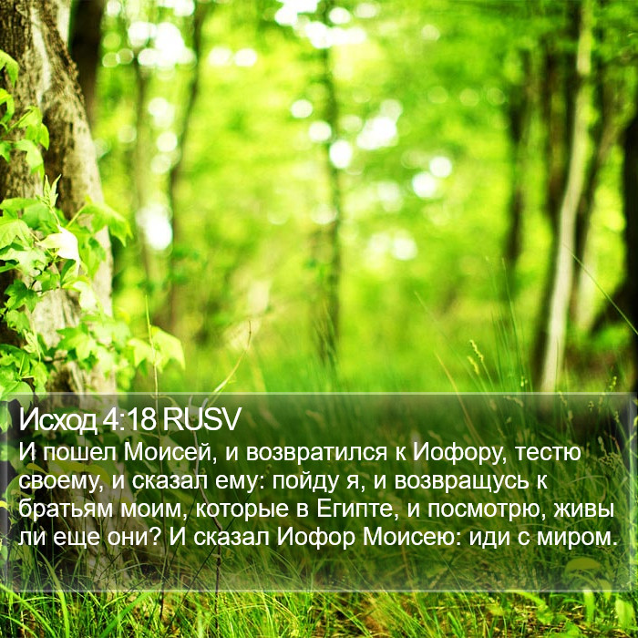Исход 4:18 RUSV Bible Study