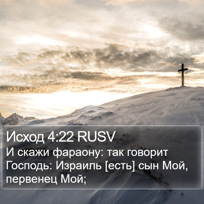 Исход 4:22 RUSV Bible Study