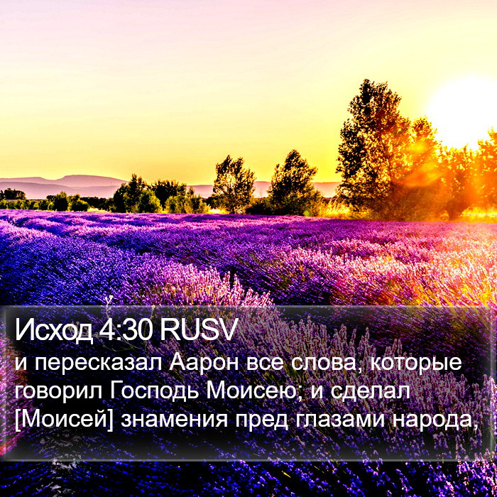 Исход 4:30 RUSV Bible Study