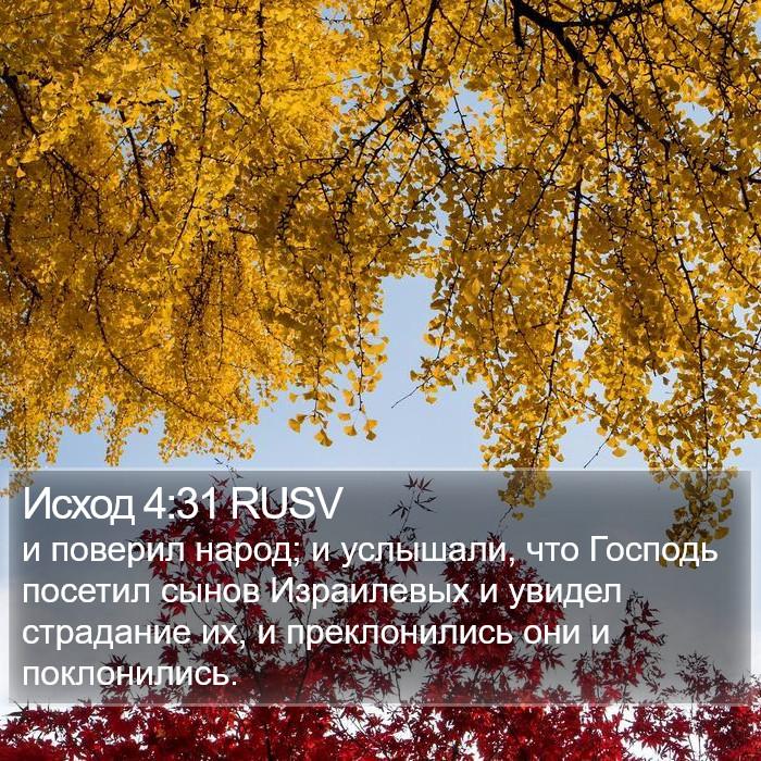 Исход 4:31 RUSV Bible Study