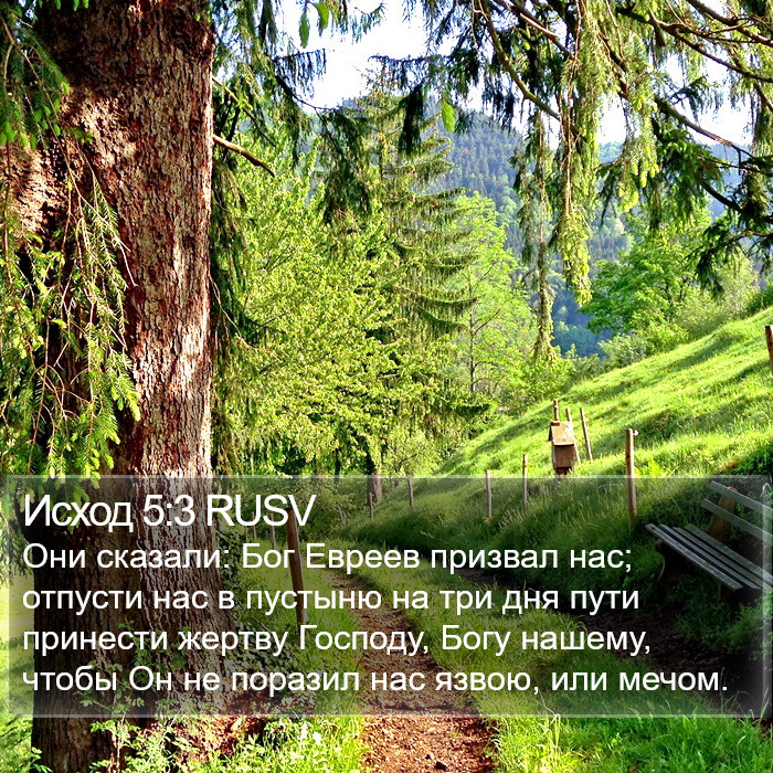 Исход 5:3 RUSV Bible Study