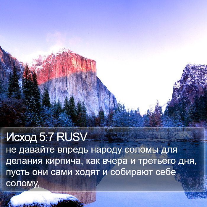 Исход 5:7 RUSV Bible Study