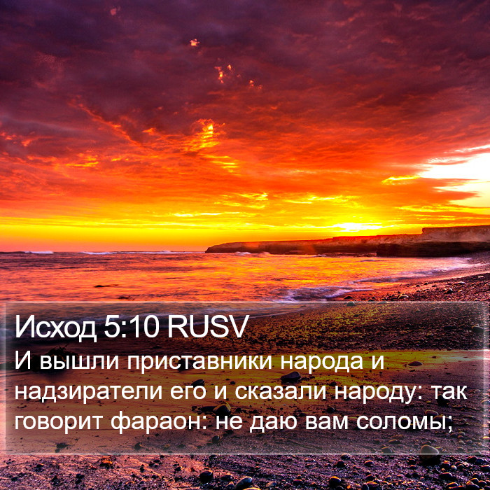Исход 5:10 RUSV Bible Study
