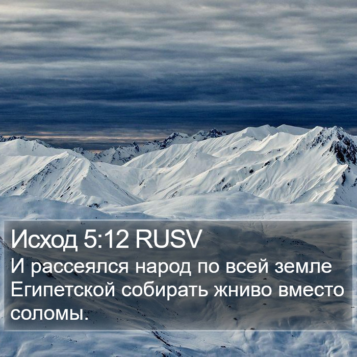 Исход 5:12 RUSV Bible Study