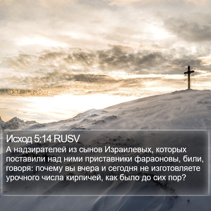Исход 5:14 RUSV Bible Study
