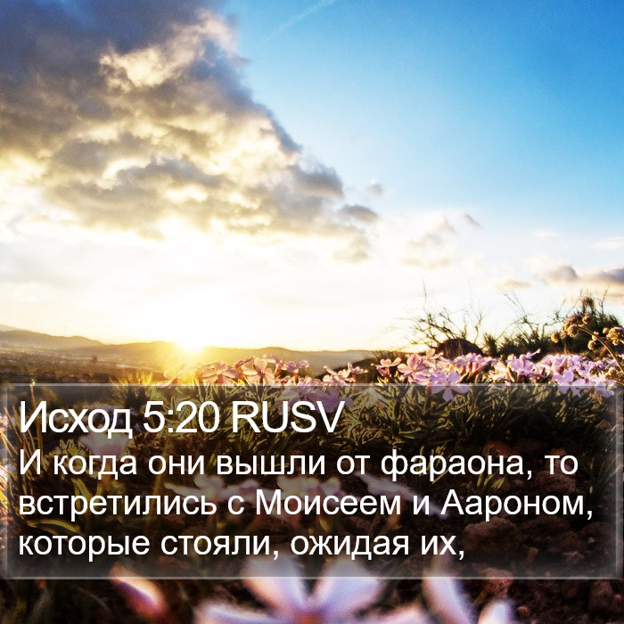 Исход 5:20 RUSV Bible Study