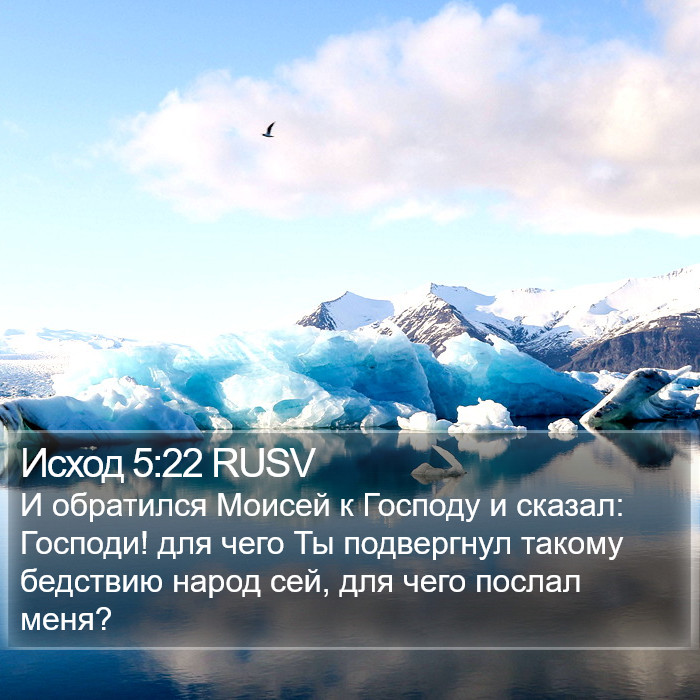 Исход 5:22 RUSV Bible Study