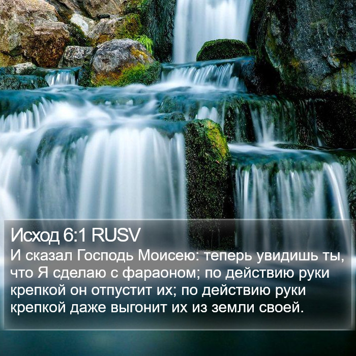 Исход 6:1 RUSV Bible Study