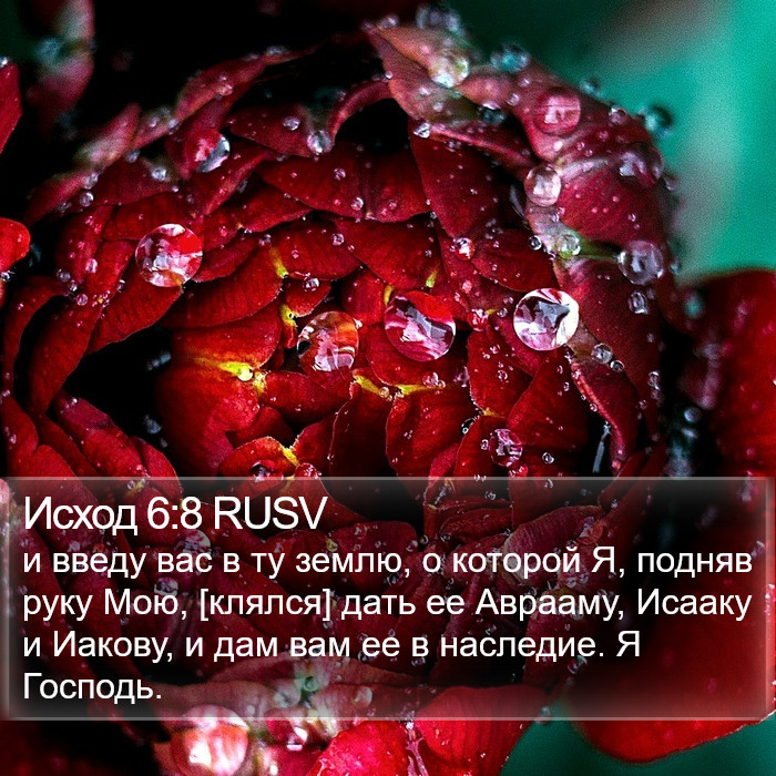 Исход 6:8 RUSV Bible Study