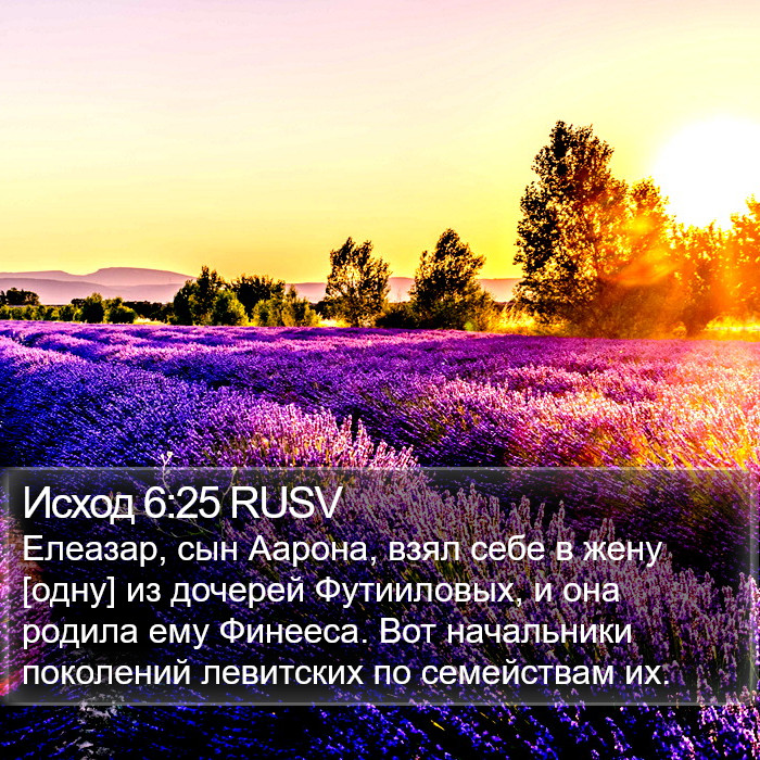 Исход 6:25 RUSV Bible Study