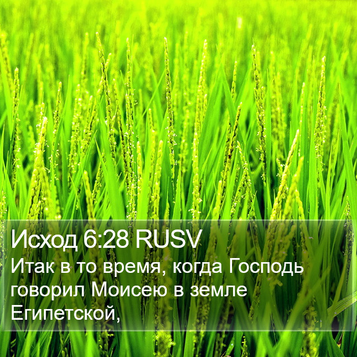 Исход 6:28 RUSV Bible Study